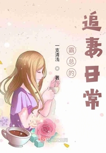 霸總的追妻日常