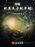 综墓:从黄皮子坟开始在线阅读