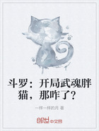 斗罗：开局武魂胖猫，那咋了？