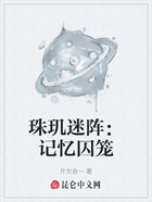 珠玑迷阵:记忆囚笼在线阅读