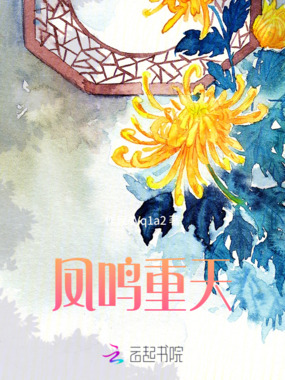凤鸣重天在线阅读