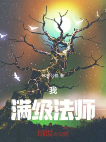 我,满级法师 cover