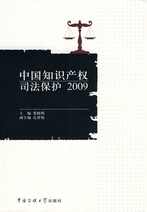 中國知識產權司法保護 2009