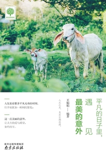 平凡的日子里，遇見最美的意外