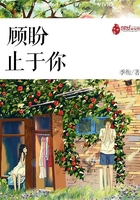 顧盼止于你在線閱讀