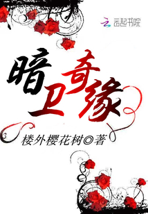暗卫奇缘