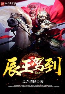 辰王驾到