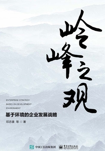 嶺峰之觀：基于環境的企業發展戰略