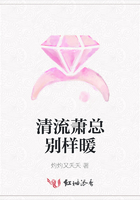清流蕭總別樣暖在線閱讀