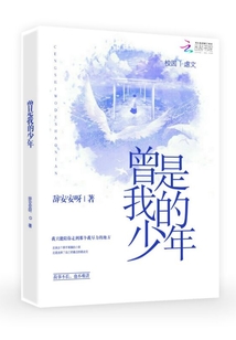 曾是我的少年