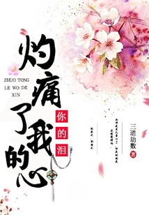 你的淚灼痛了我的心