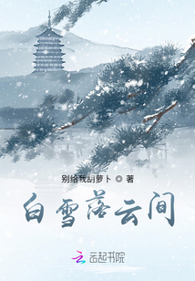 白雪落云間