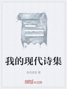 我的現(xiàn)代詩集