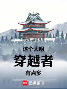這個大明穿越者有點多