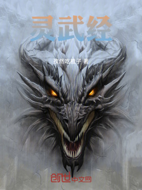 灵武经在线阅读