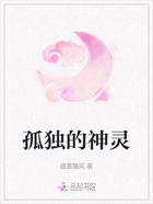 孤独的神灵在线阅读