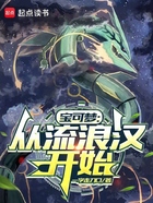 宝可梦:从流浪汉开始在线阅读