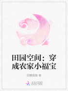 田园空间:穿成农家小福宝在线阅读
