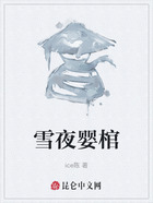 雪夜婴棺在线阅读