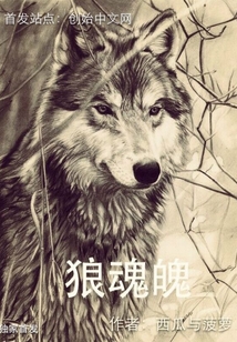 狼魂魄