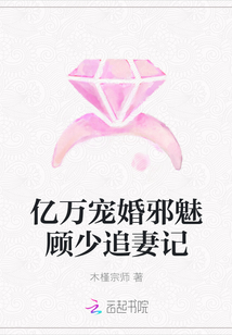 亿万宠婚邪魅顾少追妻记