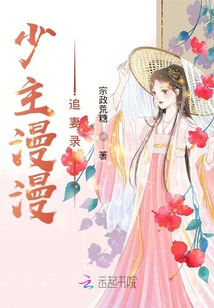少主漫漫追妻錄