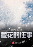 萱花的往事在線閱讀