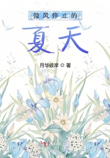 微风停止的夏天