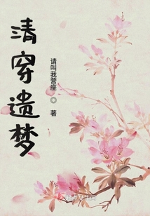 清穿遺夢