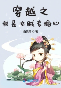 穿越之我是女賊專偷心