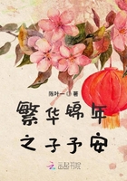 繁華錦年之子予安在線閱讀