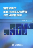 潮流环境下垂直浮射流实验研究与三维数值模拟