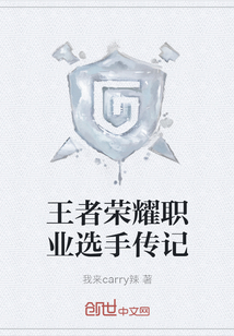 王者榮耀職業(yè)選手傳記