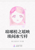 琅琊榜之瑶映琰间冰雪样在线阅读