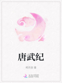 唐武紀(jì)