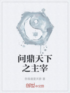 问鼎天下之主宰在线阅读