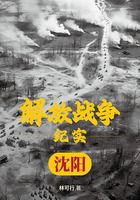 解放戰爭紀實：解放沈陽在線閱讀
