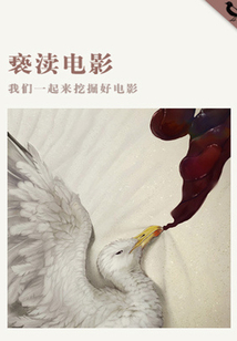 褻瀆電影（千種豆瓣高分原創作品·懂生活）