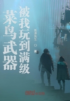 菜鳥武器被我玩到滿級在線閱讀