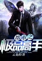 都市之极品高手