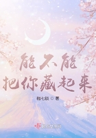 能不能把你藏起来在线阅读