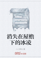 消失在屋檐下的冰凌在線閱讀