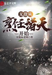 无敌从烹饪诸天开始在线阅读