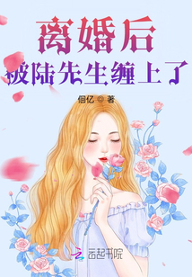 離婚后，被陸先生纏上了