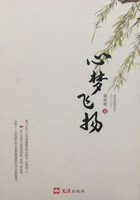 心夢飛揚在線閱讀