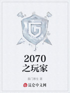 2070之玩家