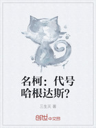 名柯：代号哈根达斯？