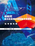 AI时代智力资本理论研究与实践探索:以中国为例在线阅读