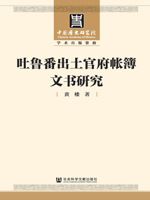 吐魯番出土官府帳簿文書研究