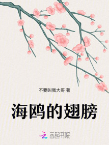 海鷗的翅膀